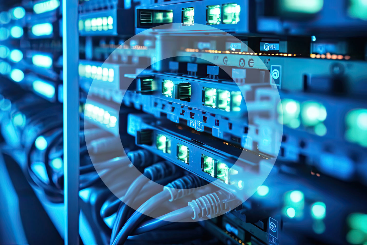 Blue server cables plugged into ports