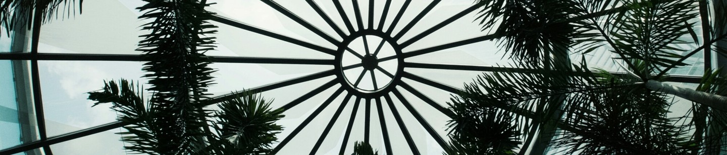 Blueish dome ceiling with palm branches
