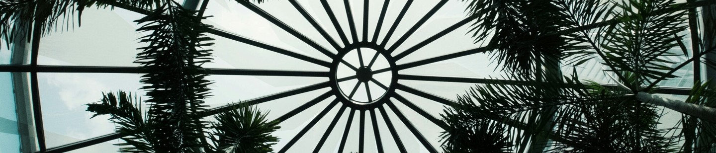 Blueish dome ceiling with palm branches