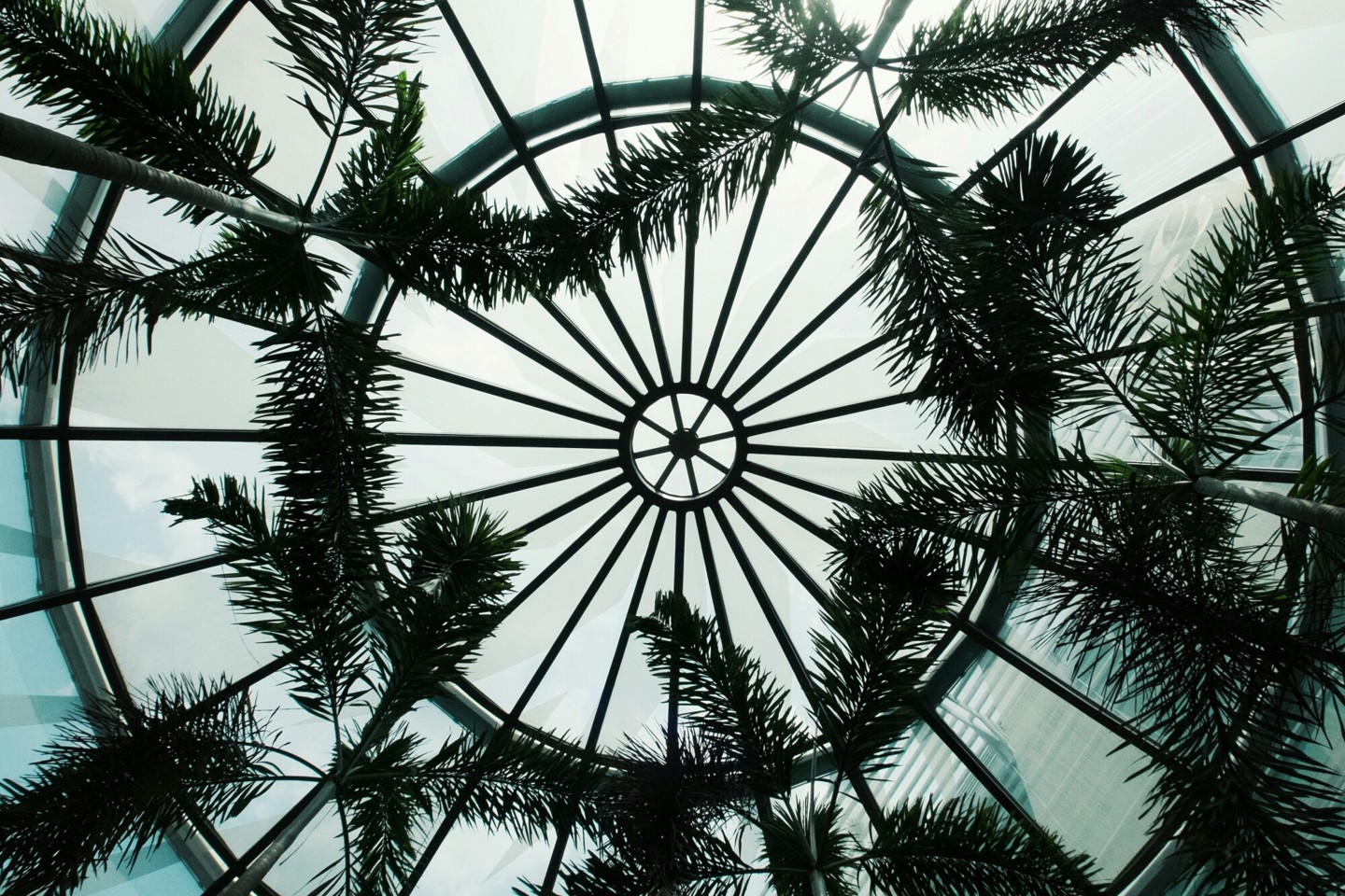 Blueish dome ceiling with palm branches