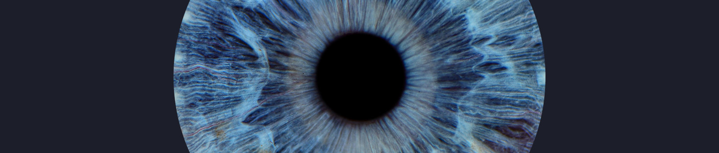 Blue Iris (regulatory) enlarged