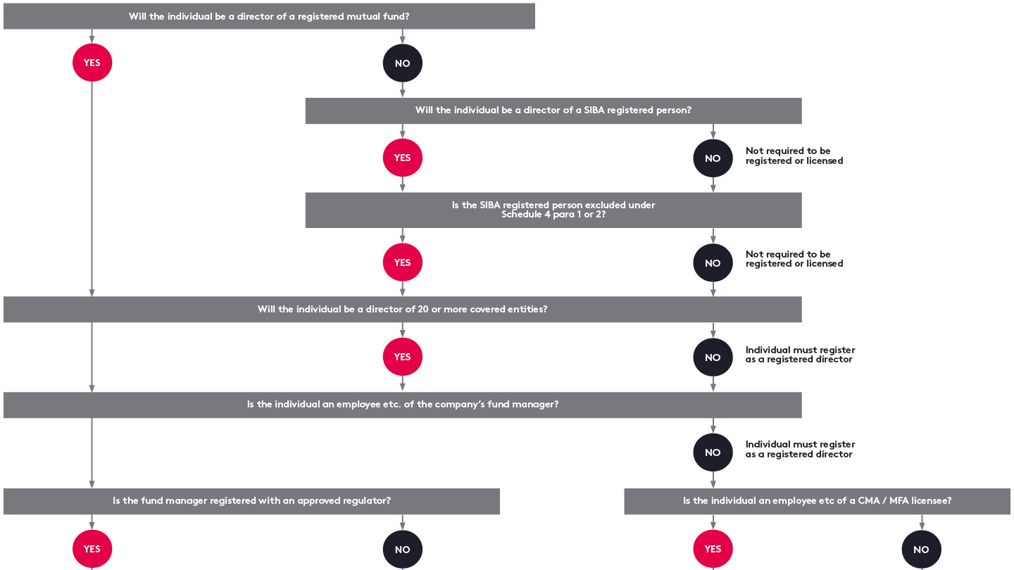 Director Registration Flowchart
