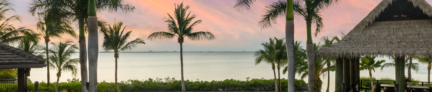 Outside view of pool with straw hut outside and palm trees