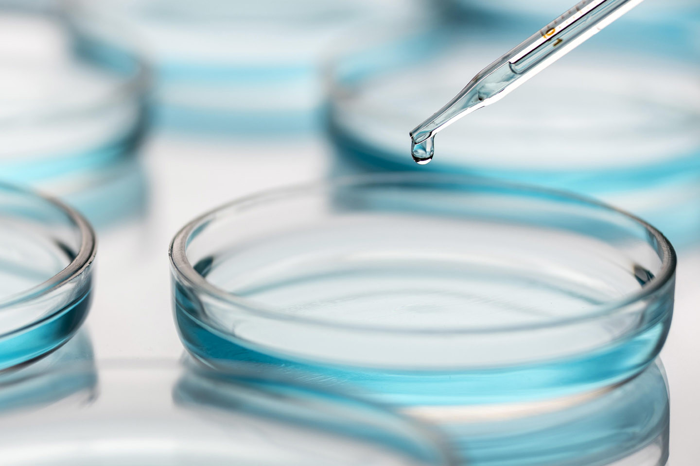 pipette dripping a droplet of solution in a petri dish