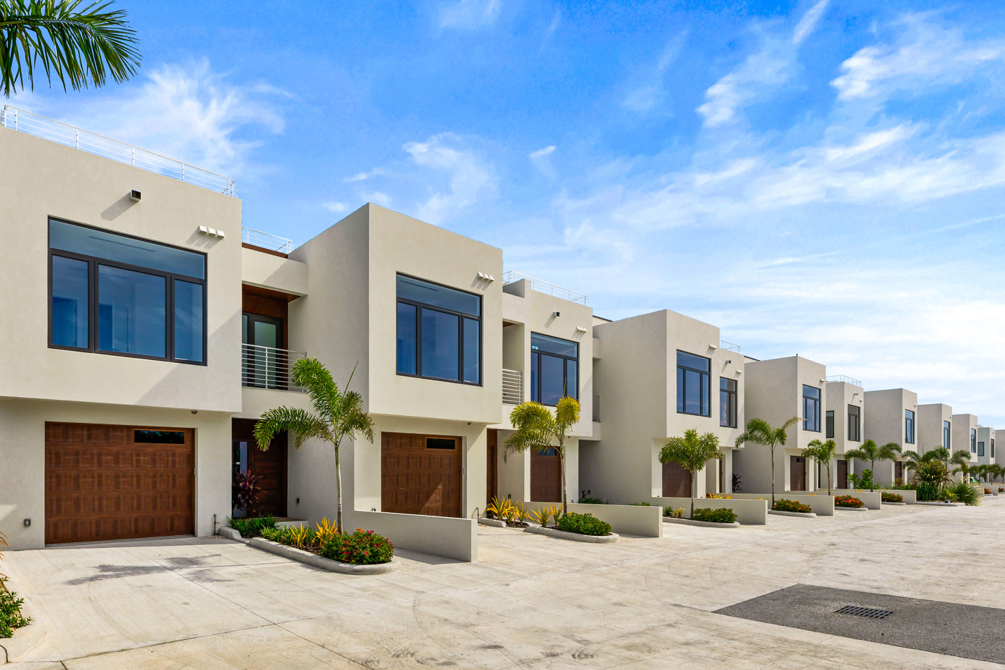 Row of houses each with a garage entrance and palm tree