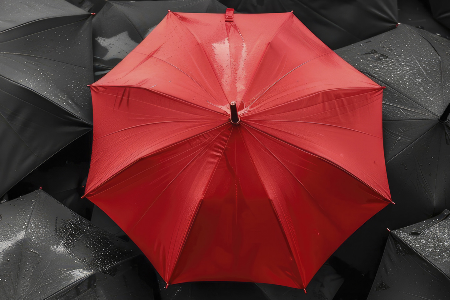 aerial view of central red umbrella amongst black umbrellas
